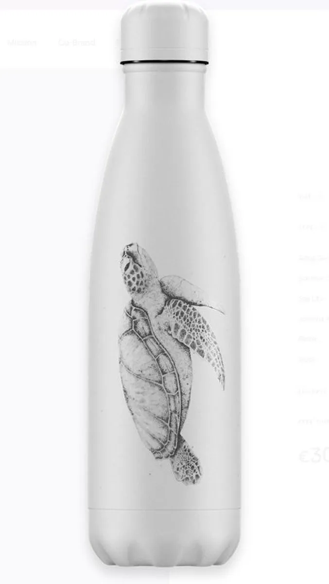 Chillys New Turtle Waterfles 500ml
