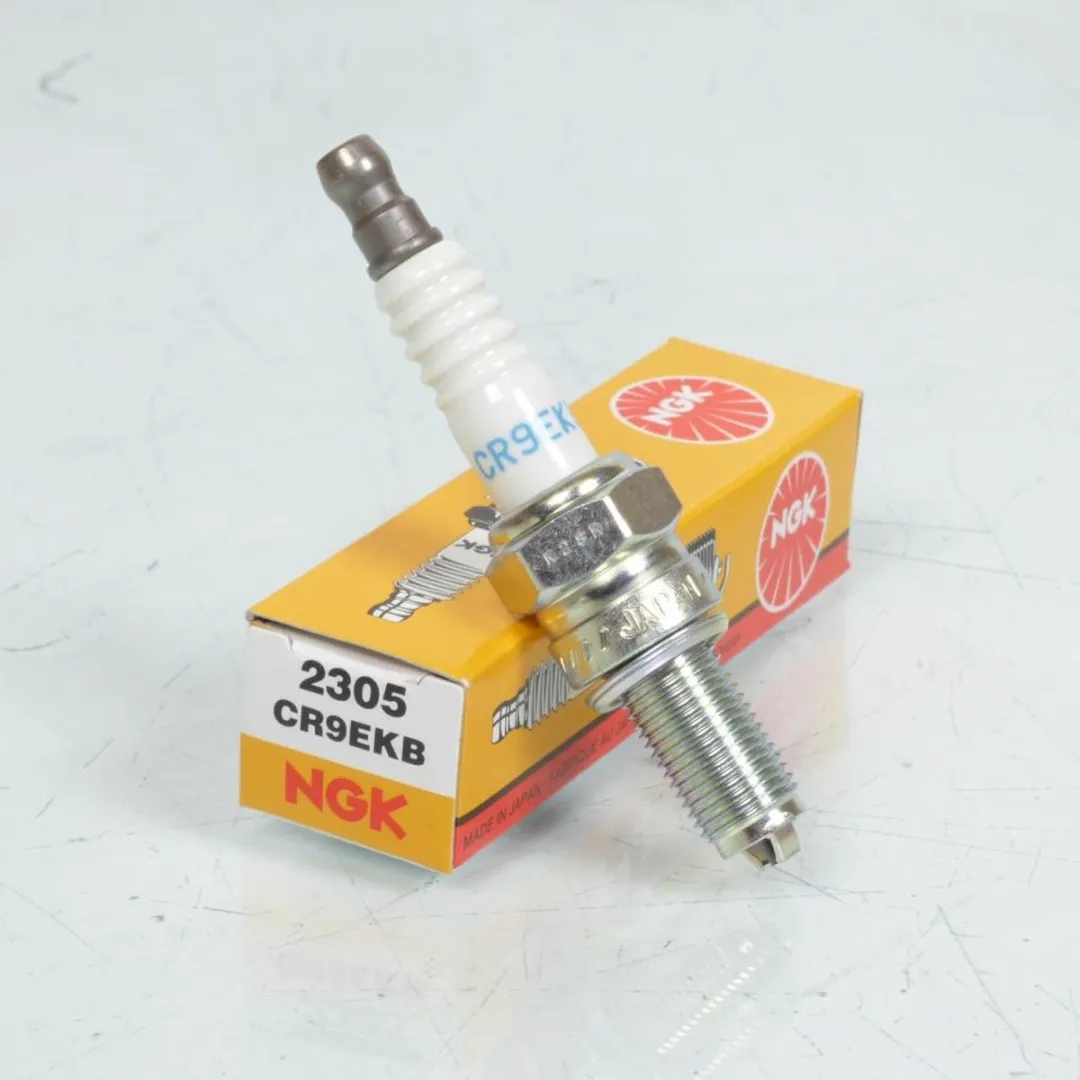 NGK Bougie voor Aprilia Dorsoduro 1200 SMV V4R