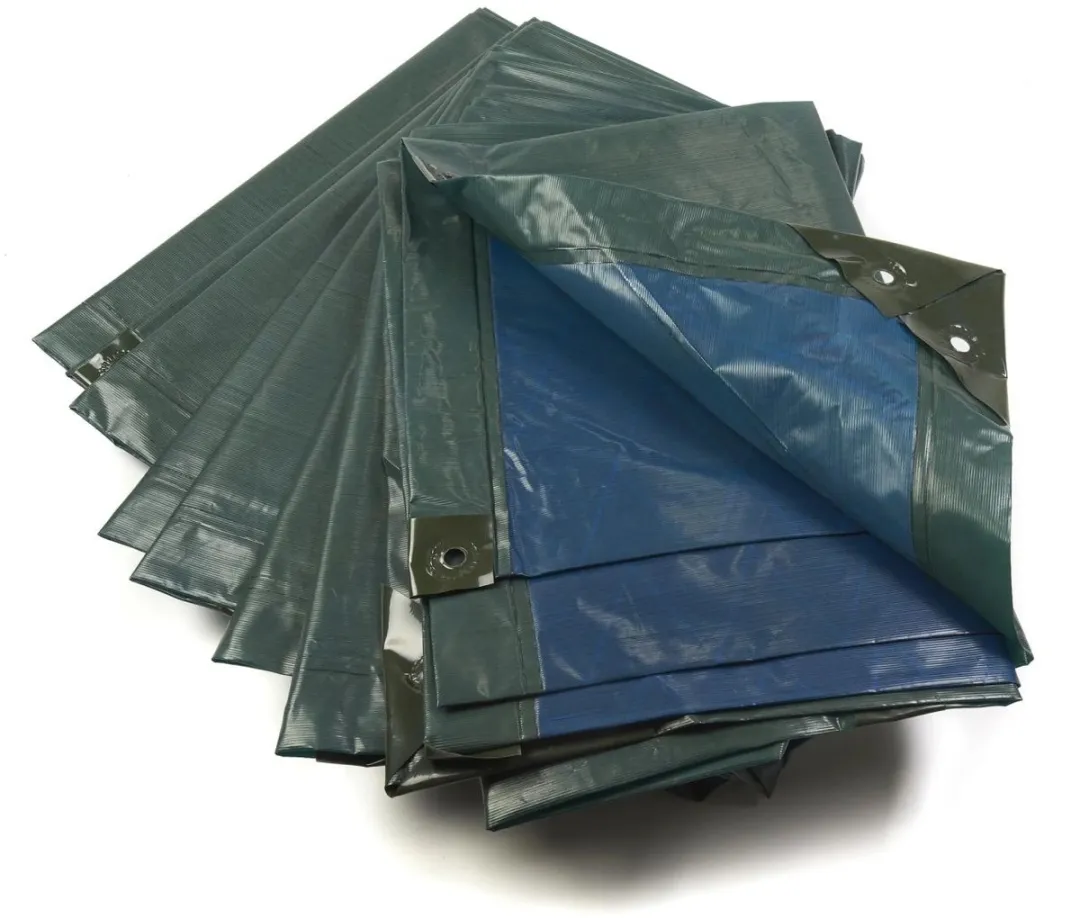 Westfalia Afdekzeil 3x4m - Groen/Blauw - 150 g/m²