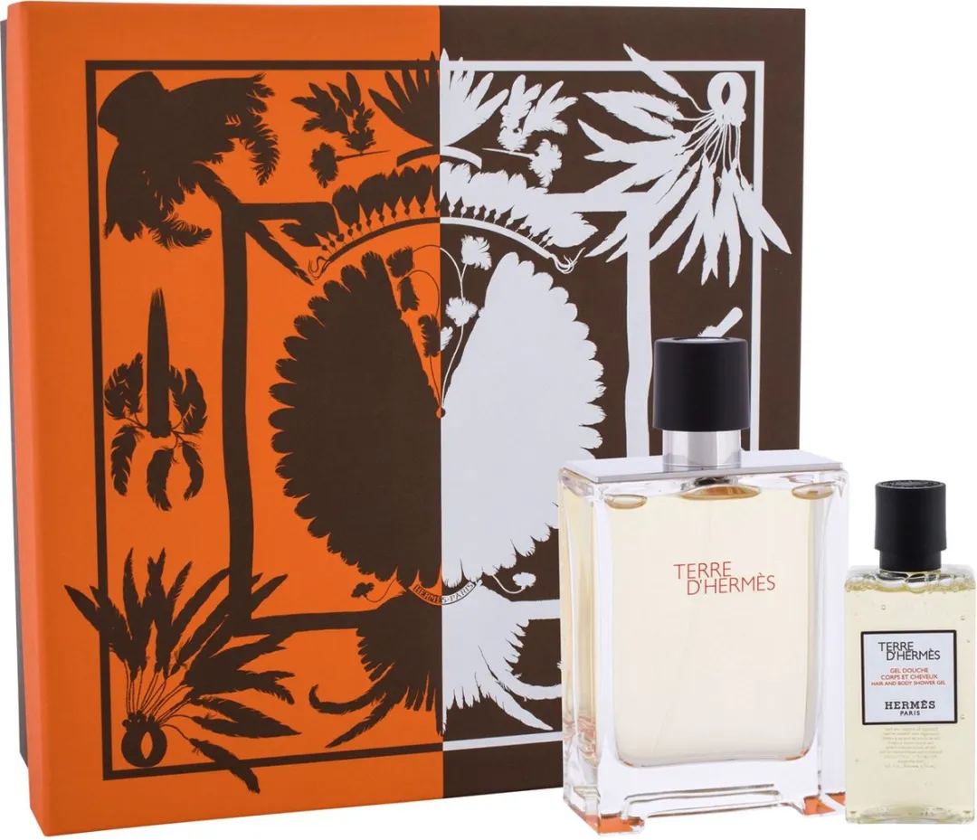 Hermès Terre d'Hermès Geschenkset - 180ml