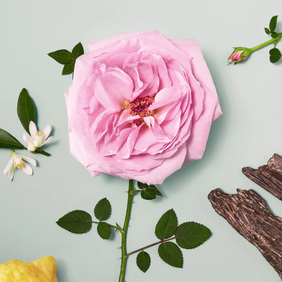 Chloé Signature Naturelle Eau de Parfum 30ml