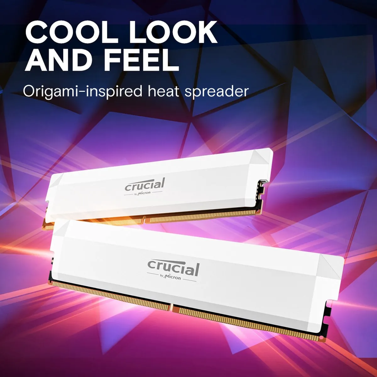 Crucial Pro CP2K16G60C36U5W DDR5 RAM 32GB 2x16GB 6000MHz