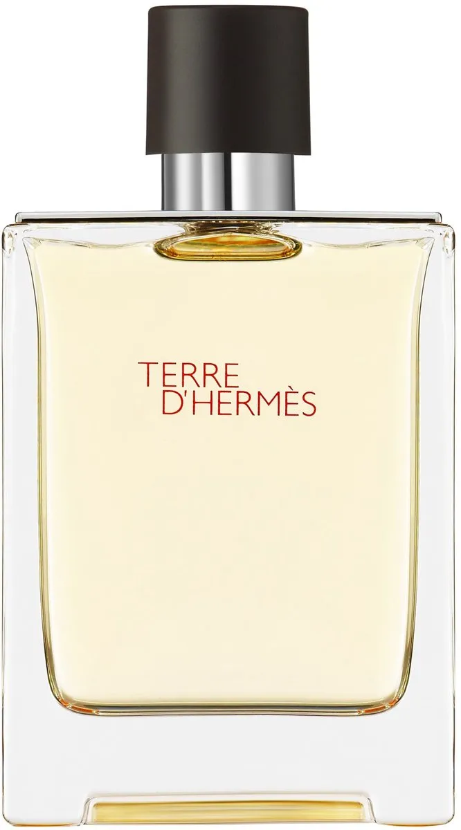 Hermès Terre d'Hermès Eau de Toilette - 100ml
