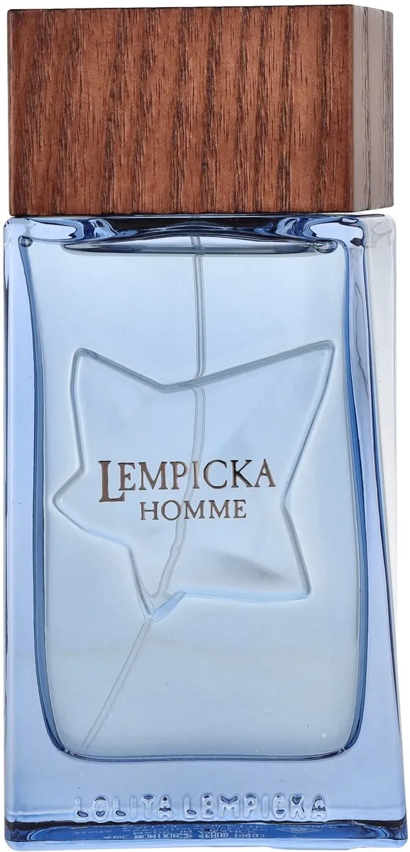 Lolita Lempicka Homme Herenparfum Eau de Toilette 100ml - afbeelding 6 van 6