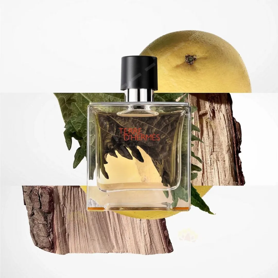 Hermès Terre d'Hermès Eau de Toilette 50ml