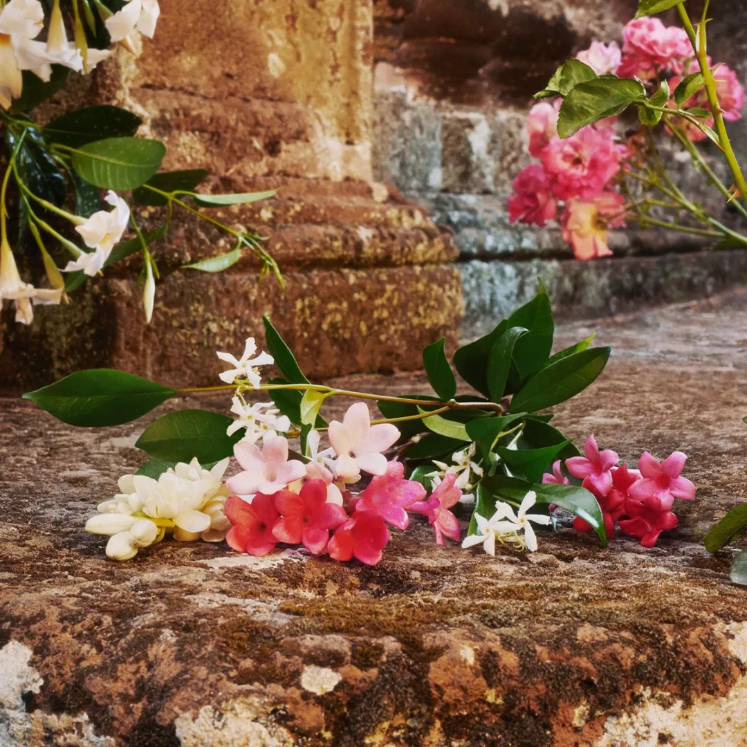 Gucci Bloom Eau de Parfum 30ml