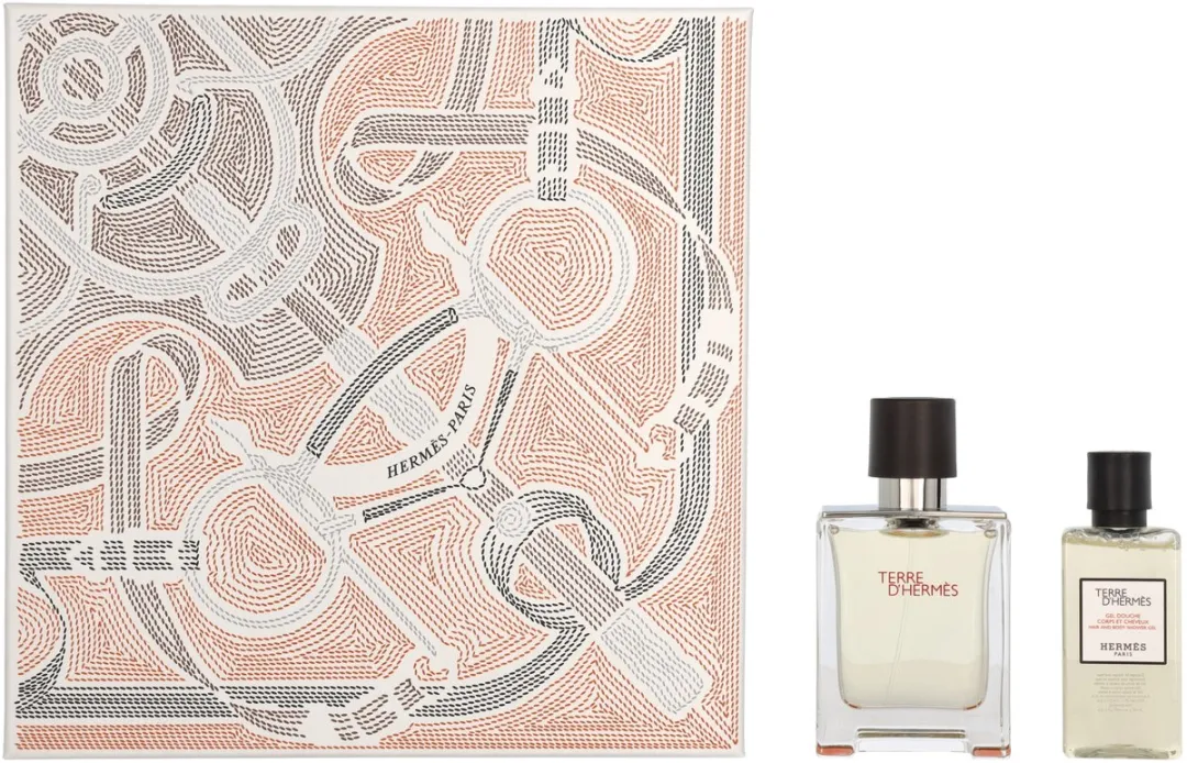 Hermès Terre d'Hermès Eau de Toilette Geschenkset - 2x50ml