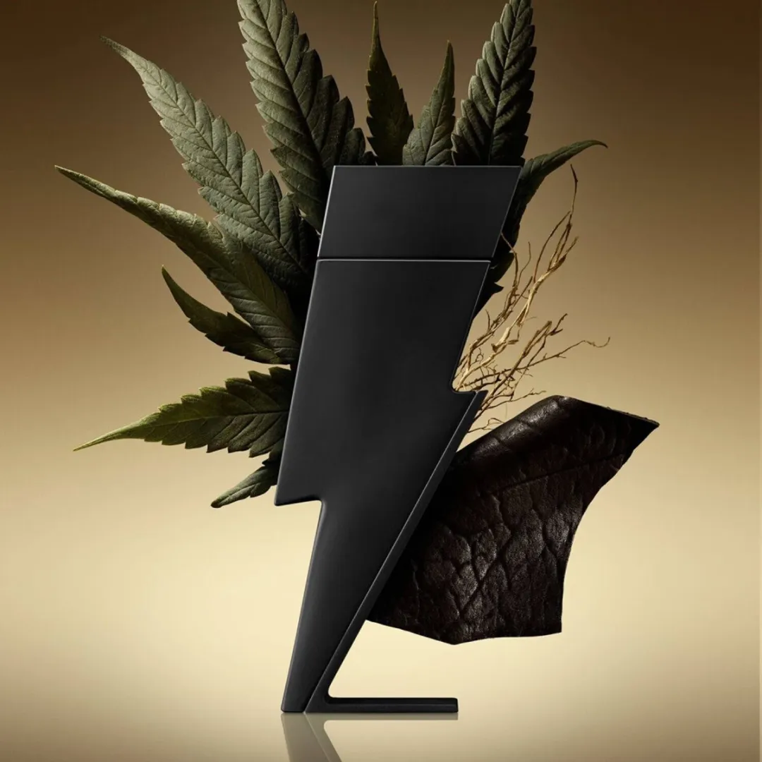 Carolina Herrera Bad Boy Le Parfum Herenparfum 100ml
