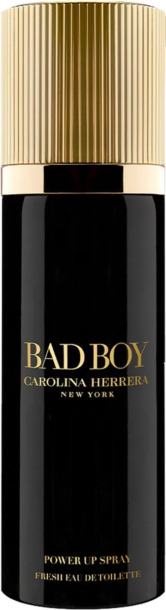 Carolina Herrera Bad Boy EDT 100ml