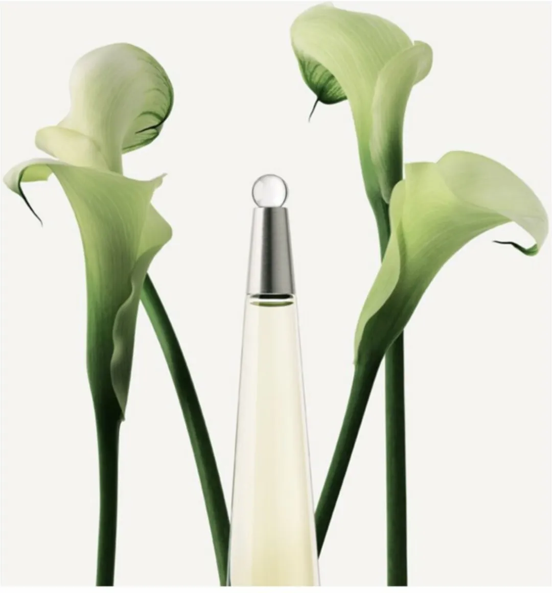 Issey Miyake L'Eau Dissey Vrouwenparfum 50ml - afbeelding 6 van 6