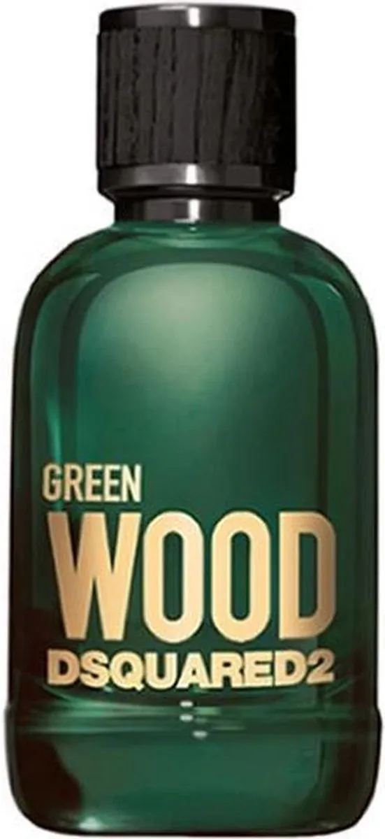 Dsquared2 Green Wood pour Homme Herenparfum 100ml