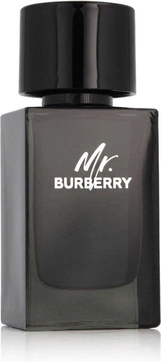 Burberry Mr. Burberry Eau de Parfum 100ml