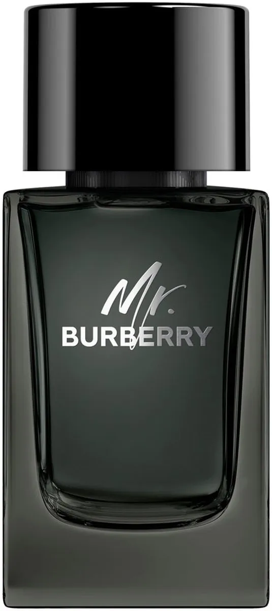 Burberry Mr. Burberry Eau de Parfum 100ml