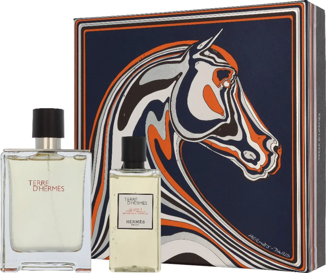 Hermès Terre d'Hermès Geschenkset - 180ml Parfum & Douchegel