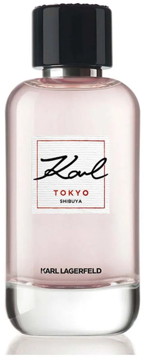 Karl Lagerfeld Karl Eau de Parfum 100ml