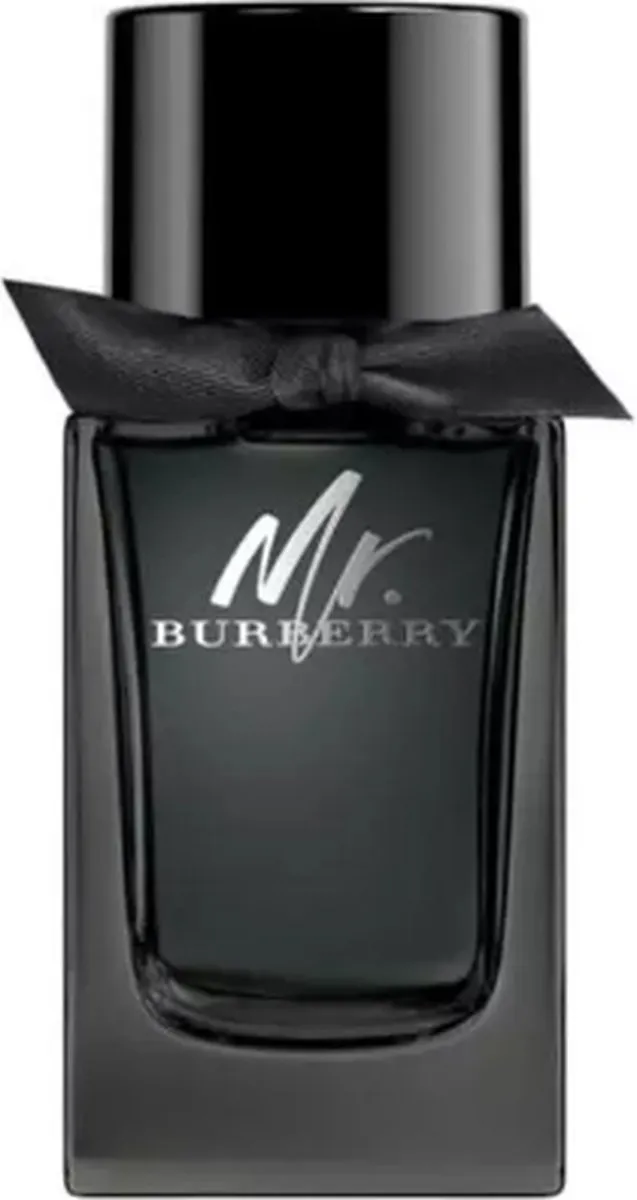 Burberry Mr. Burberry Eau de Parfum 150ml