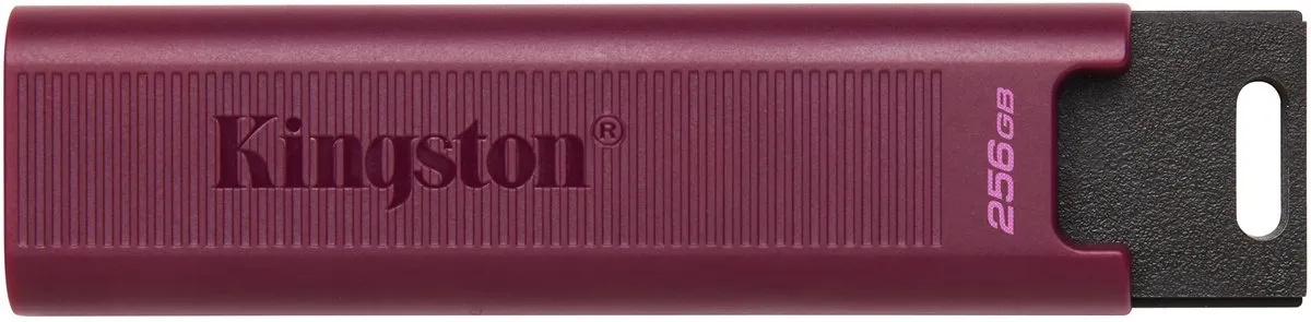 Kingston DataTraveler Max DTMAXA/256GB USB Stick 256GB