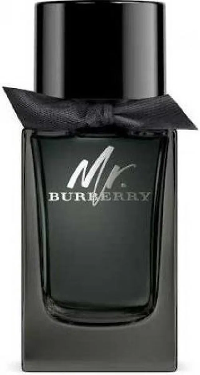 Burberry Mr Burberry Herenparfum 100ml