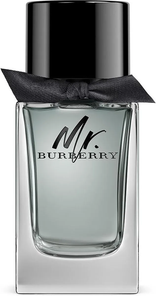 Burberry Mr Burberry Herenparfum 100ml