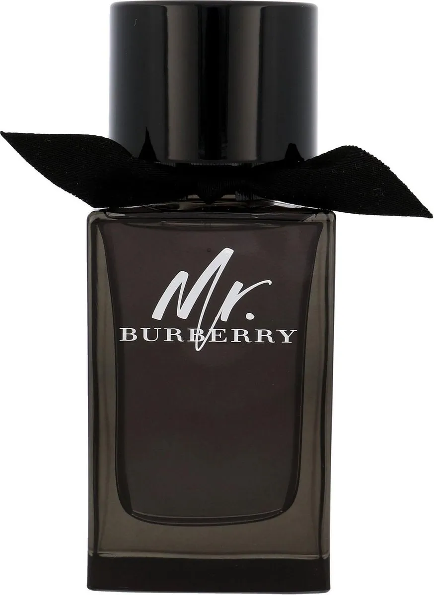 Burberry Mr. Burberry Eau de Parfum 100ml