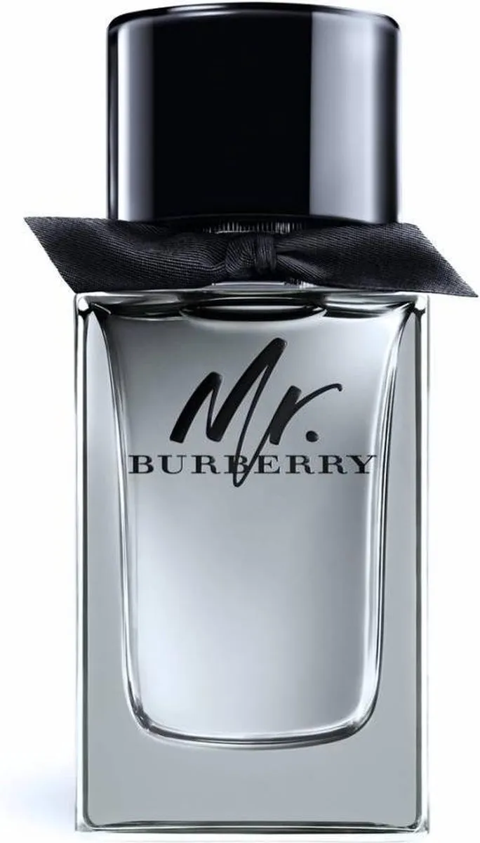 Burberry Mr. Burberry Eau de Parfum 100ml