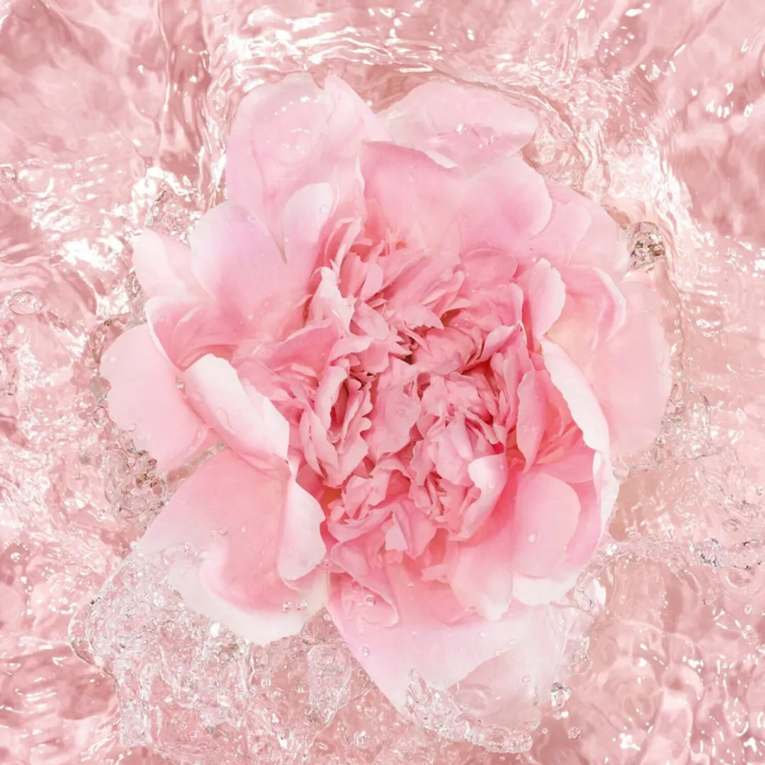 Guerlain L'Eau Rose Eau de Parfum La Petite Robe Noire 100ml