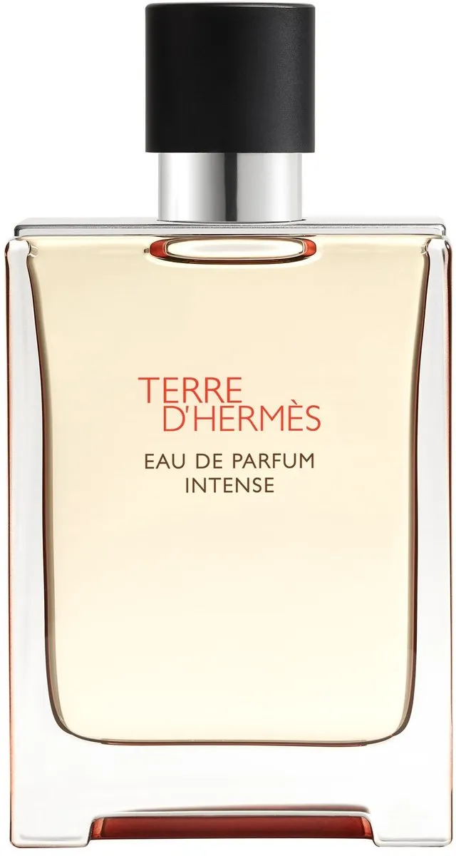 Hermès Terre d'Hermès Intense Eau de Parfum 100ml