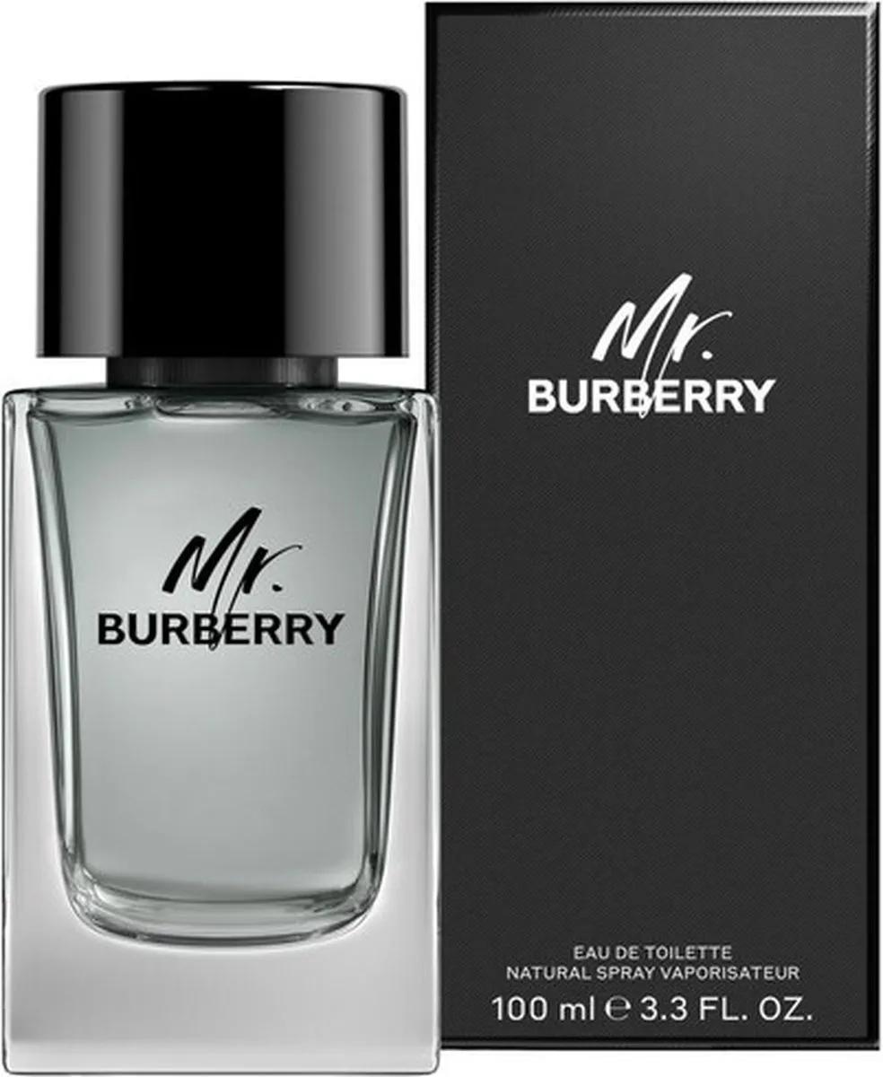 Burberry Mr. Burberry Eau de Toilette 100ml