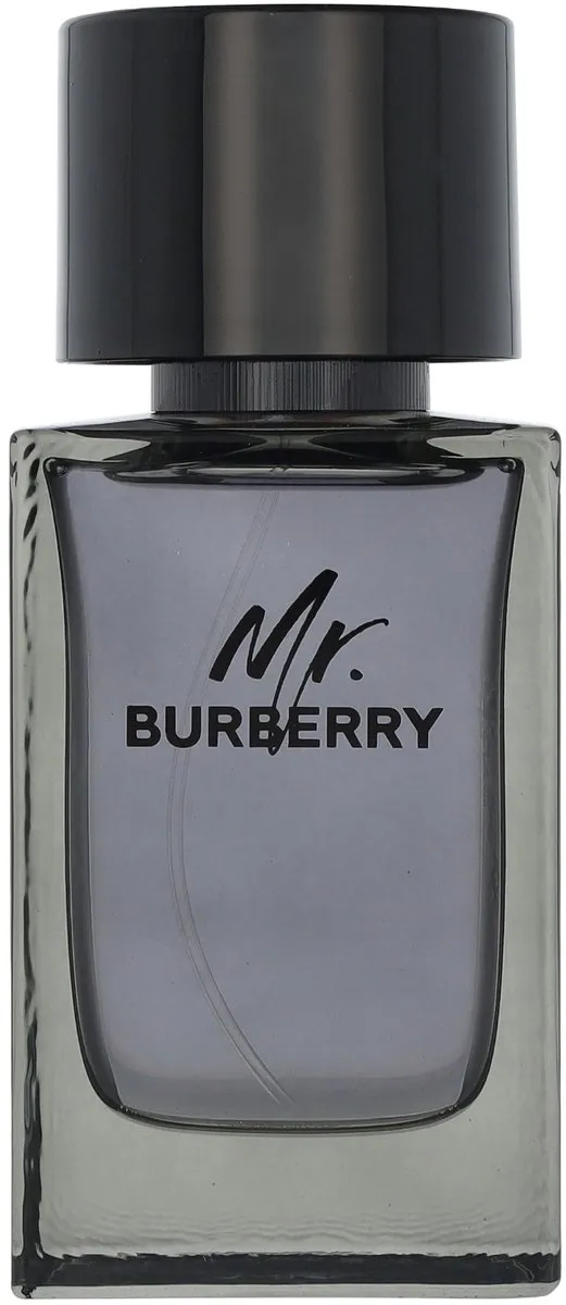 Burberry Mr. Burberry Eau de Toilette 100ml
