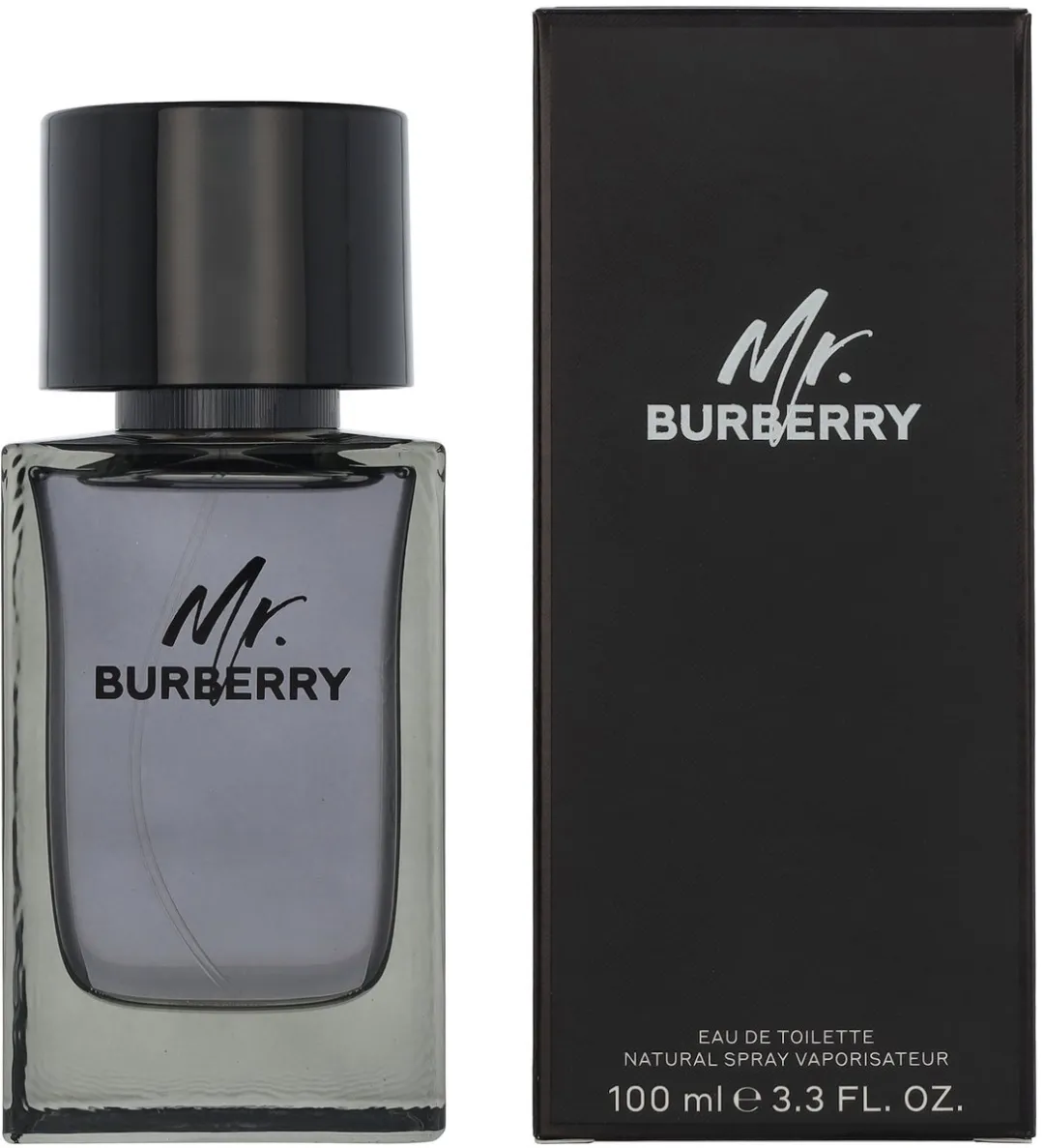 Burberry Mr. Burberry Eau de Toilette 100ml