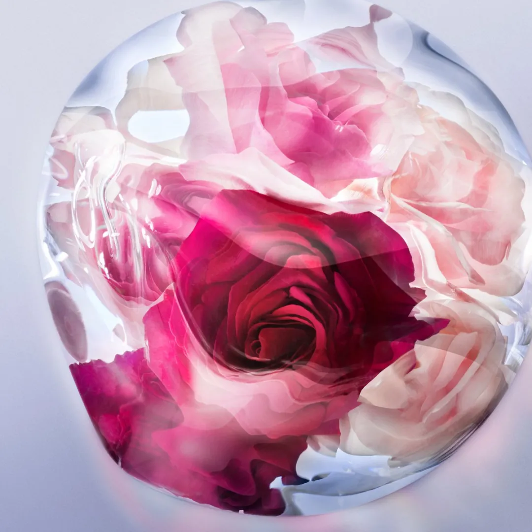 Lancôme La Vie est Belle Rose Extraordinaire Eau de Parfum 50ml