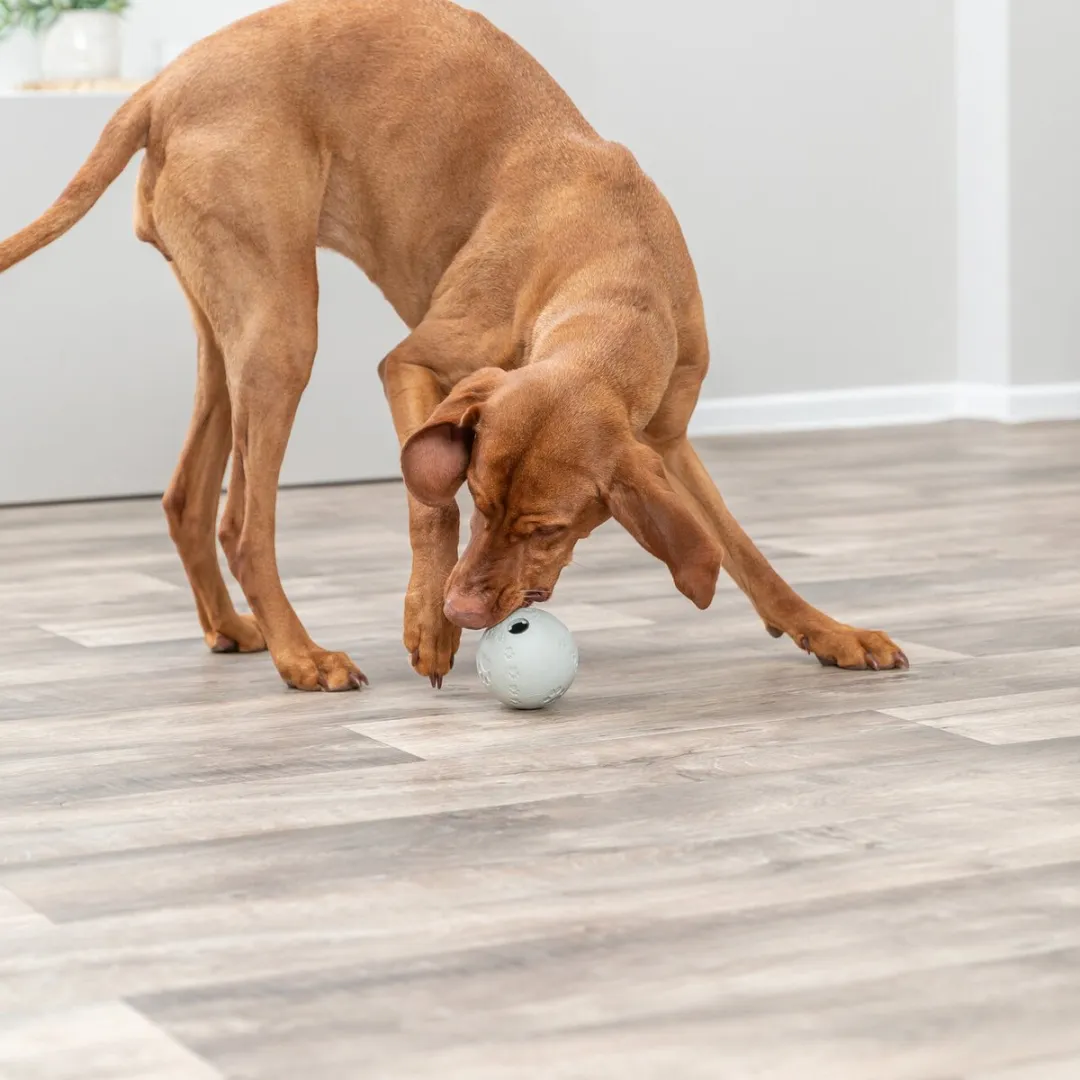 Trixie Snackbal Honden Speelgoed - Grijs 9cm