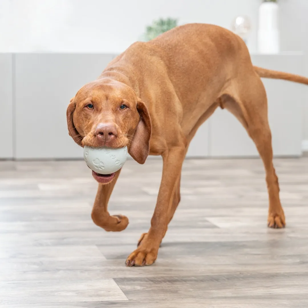Trixie Snackbal Honden Speelgoed - Grijs 9cm