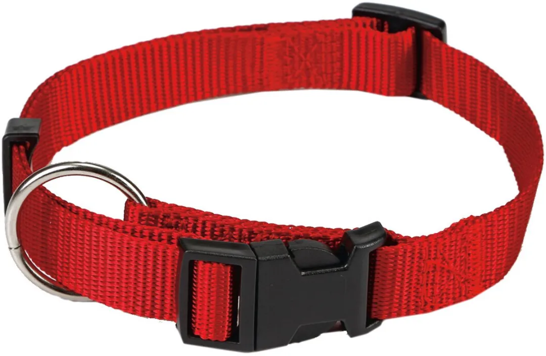 Beeztees Nylon Halsband - Rood - S
