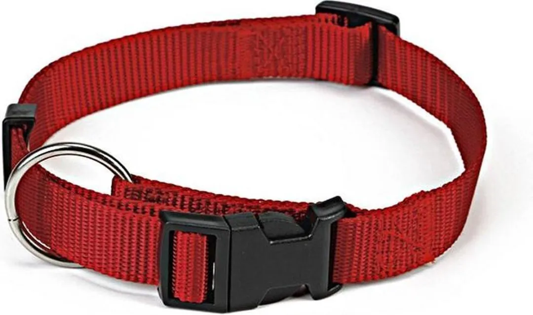 Beeztees Nylon Halsband