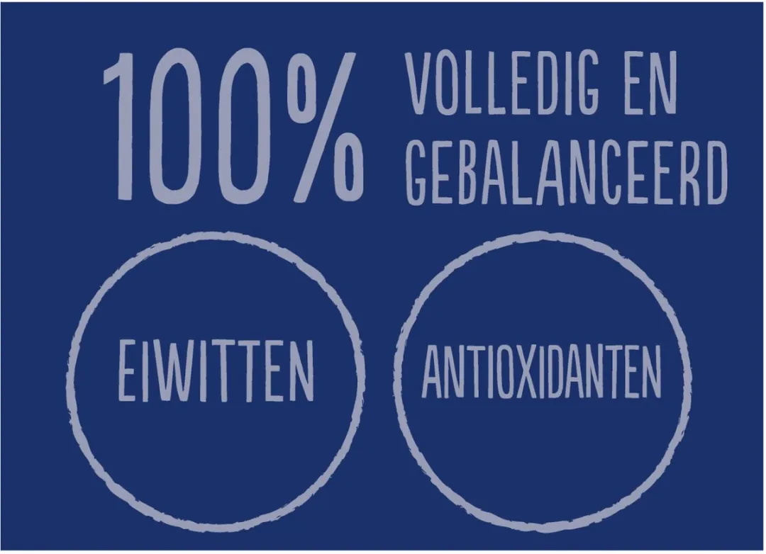 Felix Elke Dag Feest Vis Selectie in Gelei 12x85g - afbeelding 6 van 6