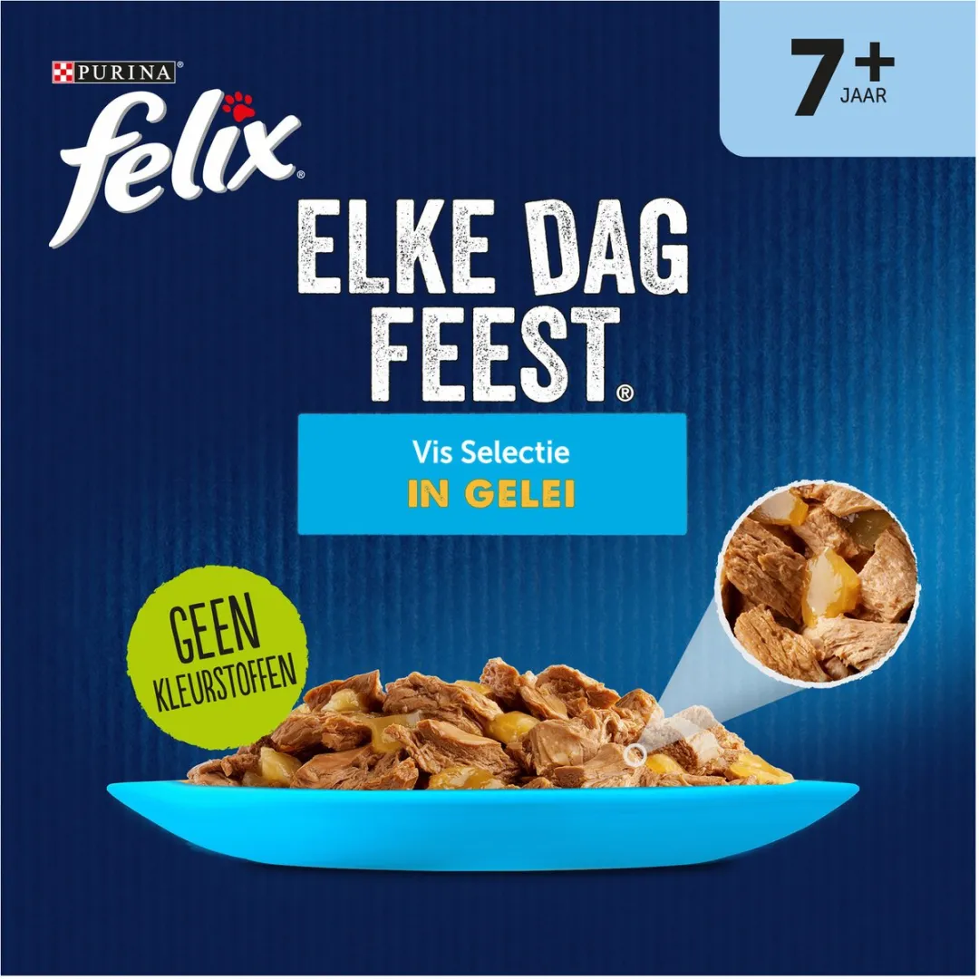 Felix Elke Dag Feest Vis Selectie in Gelei 12x85g