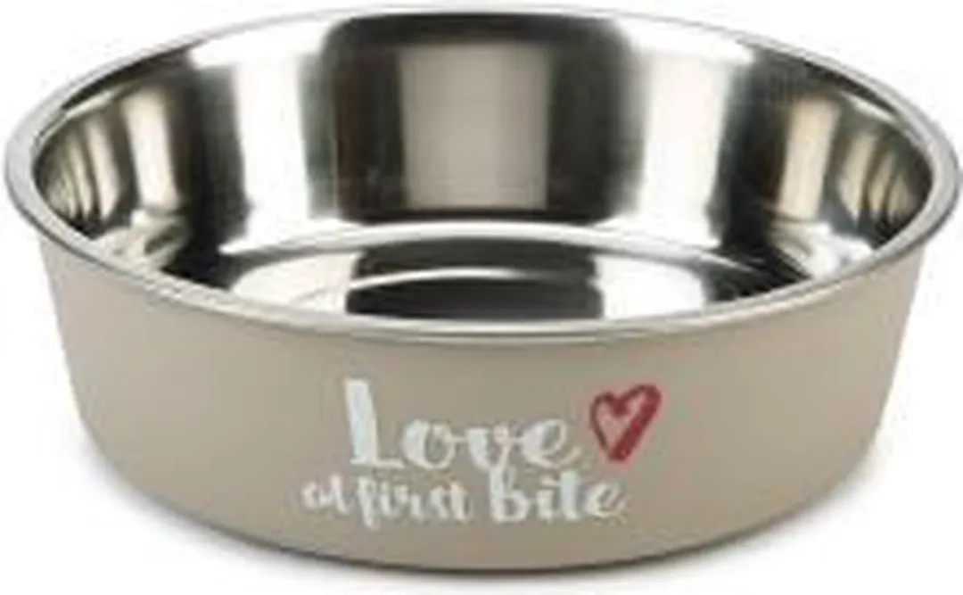 Beeztees First Bite RVS Eetbak Hond