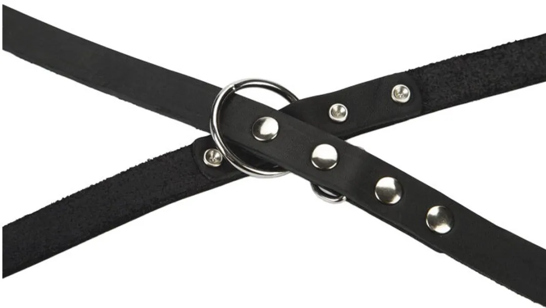Beeztees Hondenriem Leer 240x18cm - Zwart