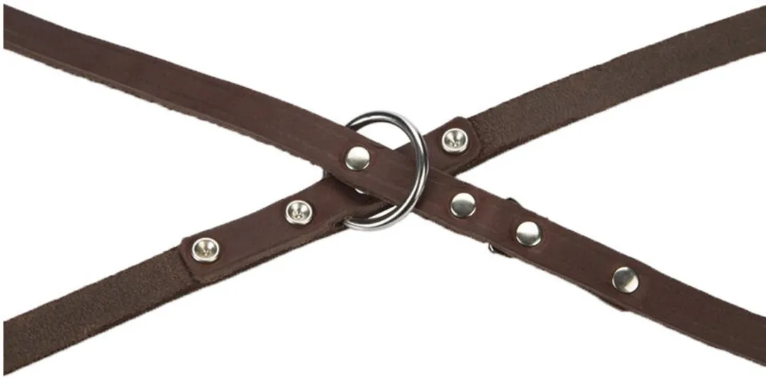 Beeztees Hondenriem Leer 200x12cm - Zwart