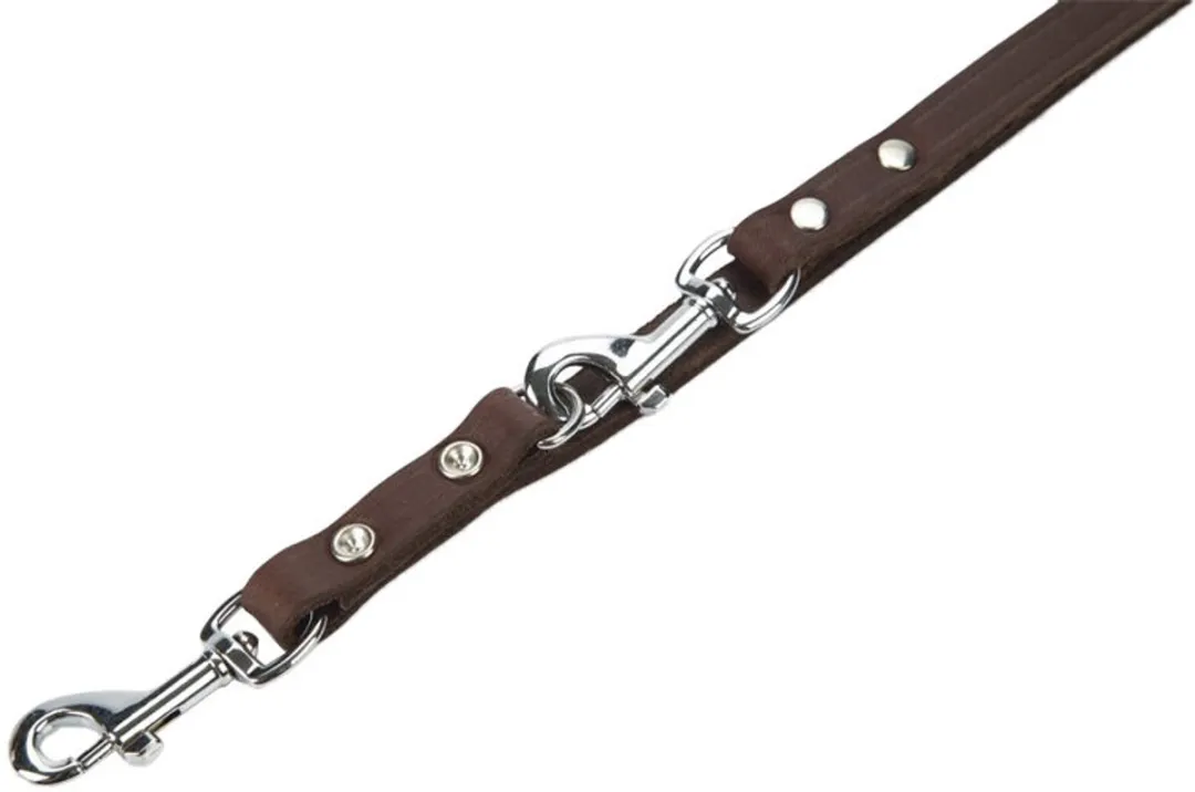 Beeztees Hondenriem Leer 200x12cm - Zwart