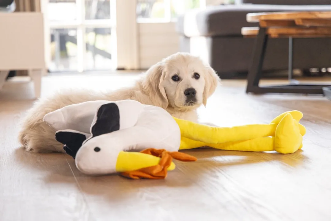 Beeztees Puppy Heartbeat Knuffel Ooievaar - Pluche XL - afbeelding 6 van 6