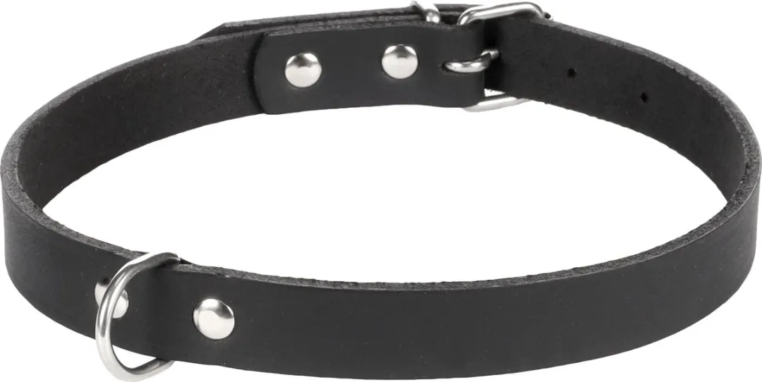 Flamingo Seattle Halsband - Zwart L 44-51cm