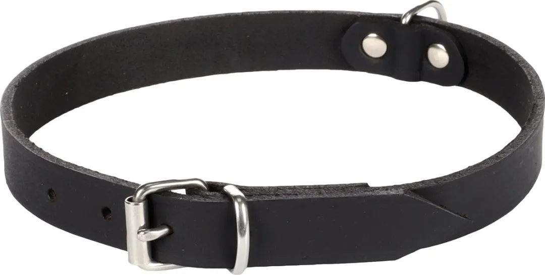 Flamingo Seattle Halsband - Zwart L 44-51cm
