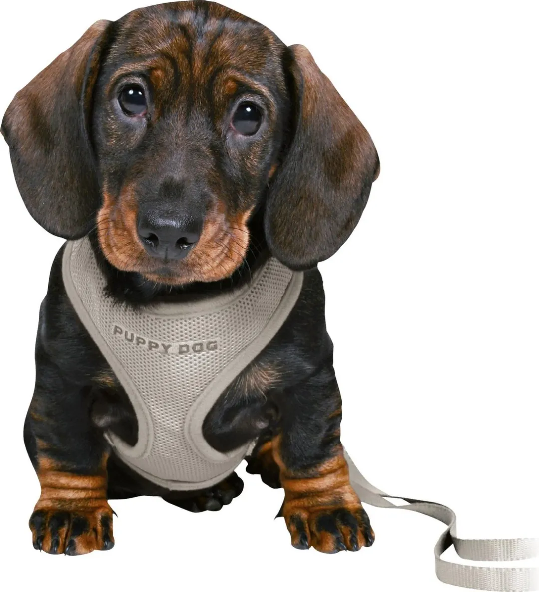 Trixie Junior Puppytuig Soft - Lichtgrijs - afbeelding 5 van 6