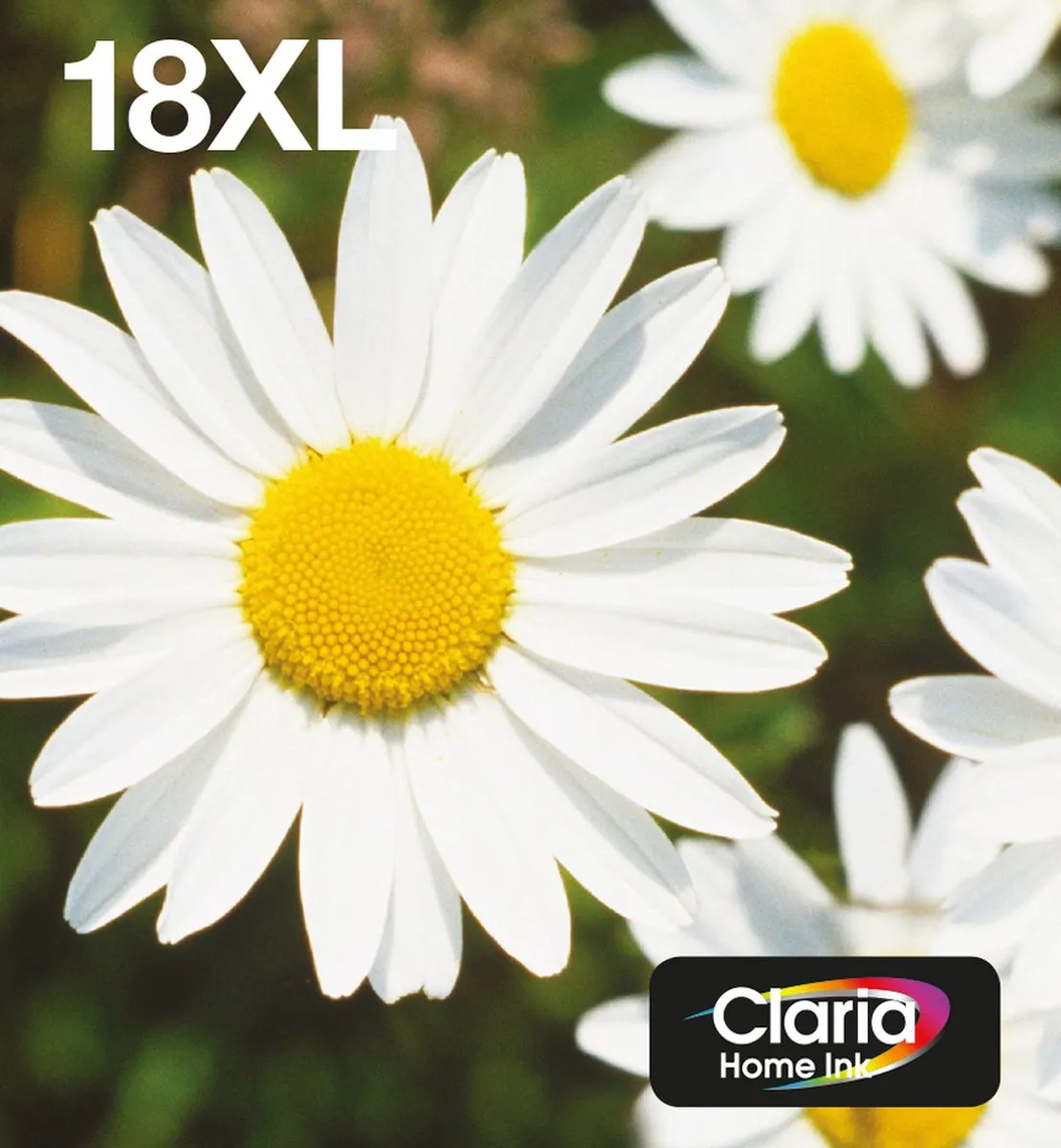 Epson Daisy Multipack 4-kleuren 18XL C13T18164511