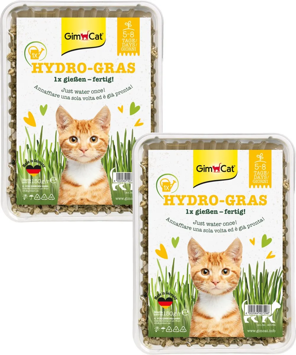 GimCat Hy-Kattengras 300g (2x150g)