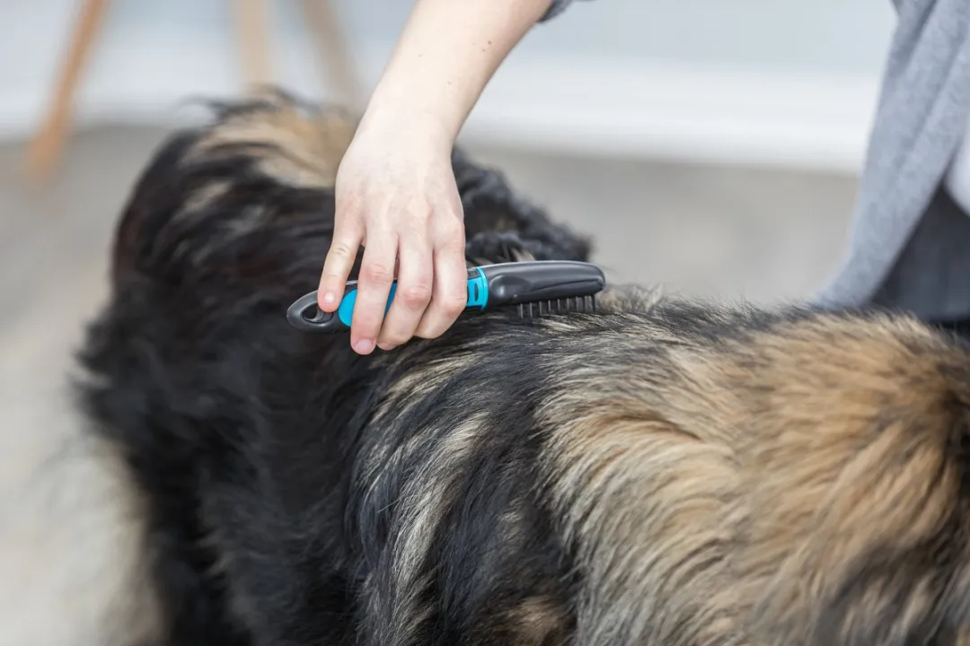 Trixie Hondenkam Ontvilter 18cm - Blauw - afbeelding 3 van 5