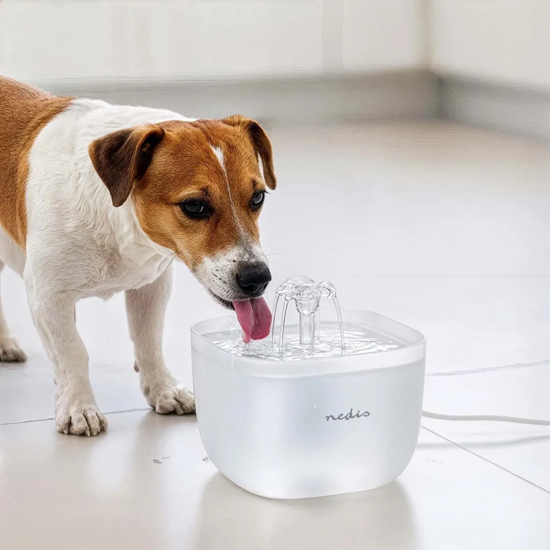 Nedis Drinkfontein voor Huisdieren 2L - Wit - afbeelding 6 van 6