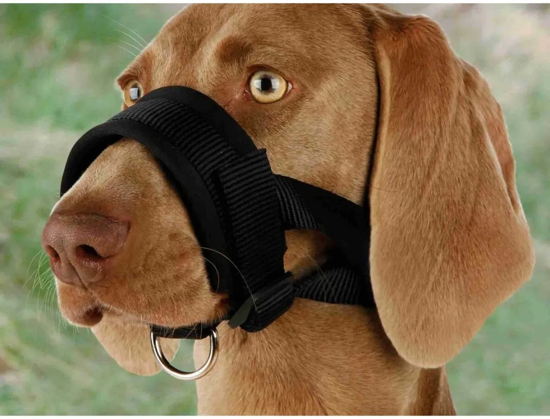 Trixie Snuitje Nylon Verstelbaar 20-30cm - Gevoerd met Neopreen - Zwart - afbeelding 3 van 6
